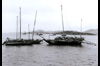 주문진 앞바다 풍경(어선) 이미지