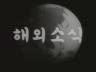 해외 소식 이미지