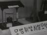 제7회 세계보건일 이미지