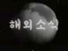 해외 소식 이미지