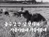 새풍년가(싸운드) 이미지