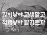 캠페인 이미지