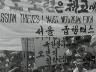 토막 소식 이미지