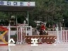 스포츠 이미지