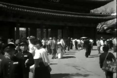 창경원 무료 개방 이미지