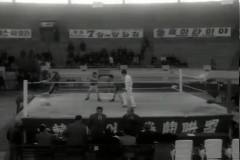복싱 이미지
