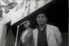 시민 위안회(창경원) 이미지