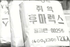 쥐잡기 운동 이미지
