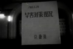 1965년도 한해 대책 현황 이미지