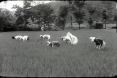 숙대생 이미지
