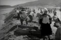 수해복구 및 위령제 이미지