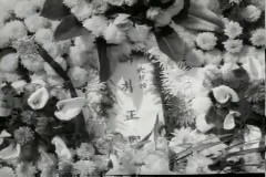 U.N 데이 이미지