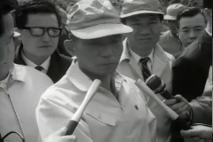 화신, 진해 꽃놀이 이미지