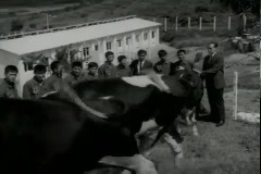 한.미 재단 훈련 농장 이미지