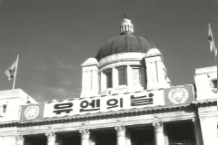 U.N 데이 이미지