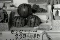 농산물 전시 이미지