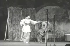 극(Sync) 이미지