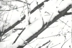 겨울 풍경 스케치 이미지