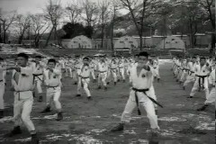 태권도 시범대회 이미지