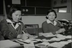 4H 경진대회 이미지