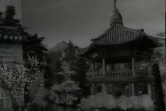 국제 인형 전시 이미지