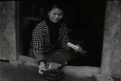 파일애플, 메탄가스 부락 이미지