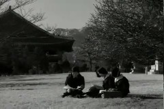 창경원 스케치 이미지