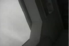 증설식 이미지