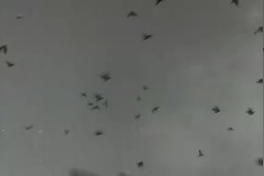 박스컵 축구대회 이미지