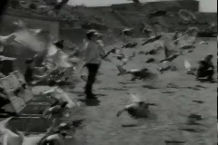 국민학교 종합 체육대회 이미지
