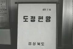 경상북도 도정 현황보고 이미지