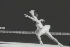 아이스 쇼 이미지