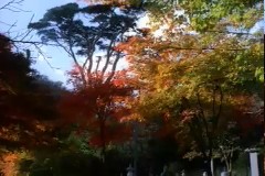 설악산 풍경 이미지