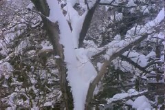 설경 이미지