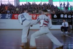 대통령배 태권도 대회 이미지