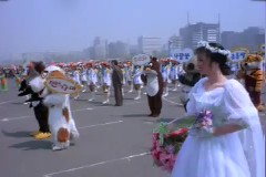 꽃씨 날리기 대회 이미지