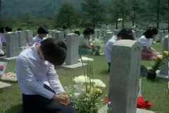 국립묘지 스케치 이미지