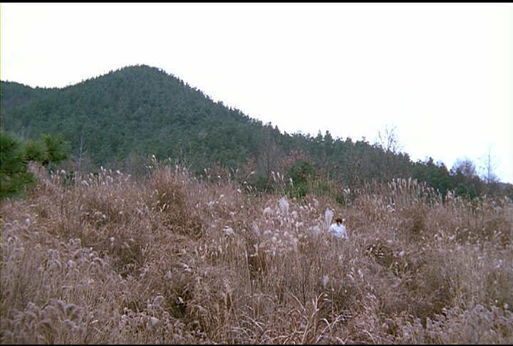 지리산 멧돼지 (대한뉴스 1999호 수록) 이미지