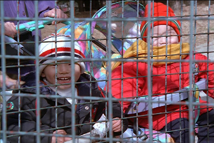 계절 영상(봄, 어린이대공원) (대한뉴스 2000호 수록) 이미지