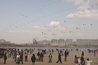 2007 행복날개 연날리기 축제 이미지