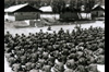 서울대, 연세대, 성균관대 ROTC 교육 입소식 이미지