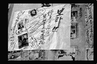 공산권·중립국가 휴전선 감시위원단 탈퇴요구 시위(10) 이미지