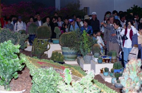 1997 고양세계꽃박람회 이미지