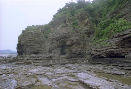 여름 스케치 이미지