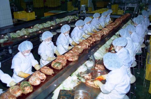 종가집 김치공장 생산라인 및 농촌 스케치 이미지