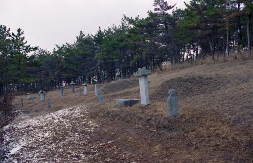 김대중 대통령 당선자 생가 및 출신학교 이미지