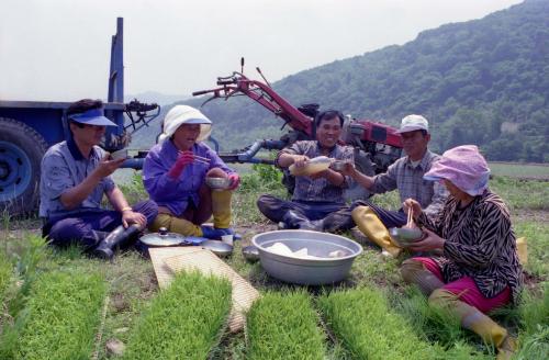 바쁜 농촌(일하는 농민) 이미지