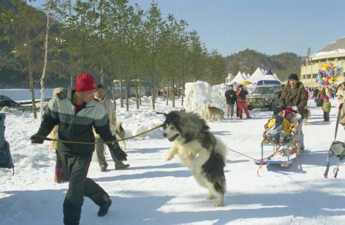 대관령 눈꽃축제 이미지
