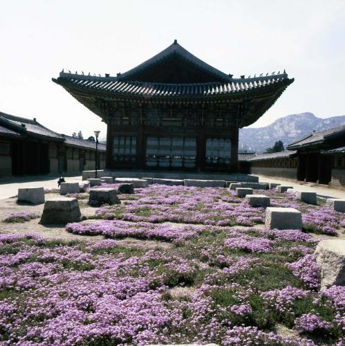 경복궁(향원정, 중앙박물관, 근정전) 이미지