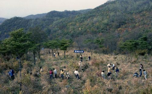 문화공보부 직원 육림의 날 행사 이미지